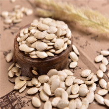 Mongólia interna brilhar pele sementes de abóbora nova safra chinês qualidade superior